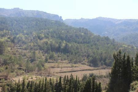 Apartament A Capafonts - "Ribatell" Dış mekan fotoğraf