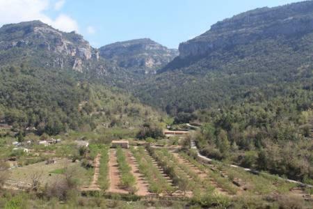 Apartament A Capafonts - "Ribatell" Dış mekan fotoğraf
